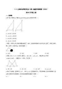 初中数学浙教版（2024）八年级上册（2024）1.5 三角形全等的判定测试题