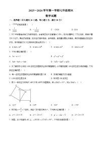 安徽合肥市瑶海区2025-2026学年第一学期七年级期末考试数学试题（试卷+解析）