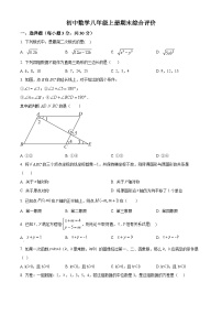 广东省梅州市梅县区2024-2025学年八年级上学期期末考试数学试卷（试卷+解析）