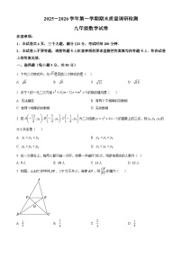河南洛阳市伊川县2025-2026学年第一学期期末质量调研检测九年级数学上学期期末试卷（试卷+解析）