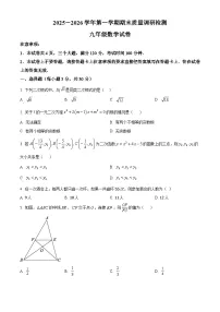河南洛阳市伊川县2025-2026学年第一学期期末质量调研检测九年级数学上学期期末试卷（试卷+解析）