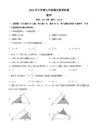 湖南省娄底市涟源市2025-2026学年九年级上学期1月期末数学试题（试卷+解析）