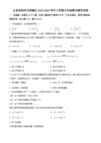 山东滨州市滨城区2025一2026学年第一学期期末学业质量检测 七年级数学试题（试卷+解析）