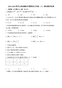 山东省德州市夏津县2025-2026学年七年级上学期期末数学试卷（试卷+解析）