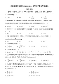 浙江绍兴市嵊州市2025-2026学年上学期七年级期末数学试卷（试卷+解析）