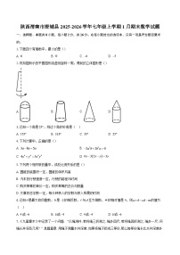 陕西渭南市澄城县2025-2026学年七年级上学期1月期末数学试题-自定义类型