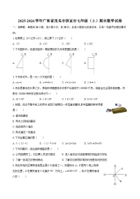 2025-2026学年广东省茂名市信宜市七年级（上）期末数学试卷-自定义类型