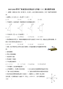 2025-2026学年广东省茂名市信宜市七年级（上）期末数学试卷-自定义类型