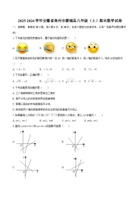 2025-2026学年安徽省亳州市蒙城县八年级（上）期末数学试卷-自定义类型