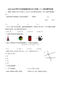 2025-2026学年江苏省盐城市东台市七年级（上）期末数学试卷-自定义类型
