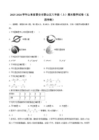2025-2026学年山东省泰安市泰山区八年级（上）期末数学试卷（五四学制）-自定义类型