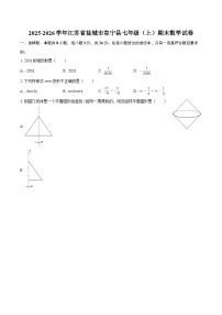2025-2026学年江苏省盐城市阜宁县七年级（上）期末数学试卷-自定义类型
