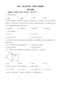 安徽合肥市瑶海区2025-2026学年第一学期七年级期末考试数学试题（试卷+解析）