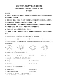 湖北襄阳市宜城市2025年秋九年级数学学业质量测试题上学期期末（试卷+解析）
