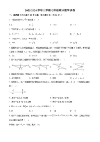 河北省衡水市武强县2025-2026学年上学期七年级期末数学试卷（试卷+解析）