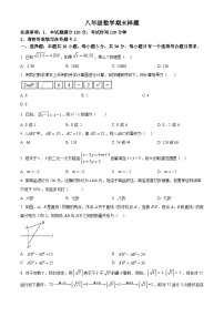 山东菏泽市定陶区2025-2026学年八年级上学期期末数学试题（试卷+解析）