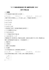 初中数学北京版（2024）八年级上册（2024）12.12 勾股定理的逆定理练习题