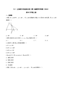 初中数学沪科版（2024）八年级上册（2024）第13章 三角形中的边角关系、命题与证明13.1 三角形中的边角关系课时作业