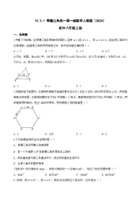 初中数学人教版（2024）八年级上册（2024）15.3.1 等腰三角形复习练习题