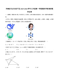 河南驻马店市西平县2025-2026学年九年级第一学期期终学情调研数学试卷-自定义类型