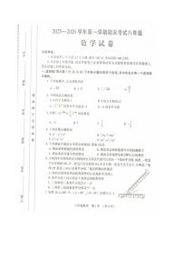 河南洛阳市嵩县2025—2026学年第一学期期末考试八年级数学试卷