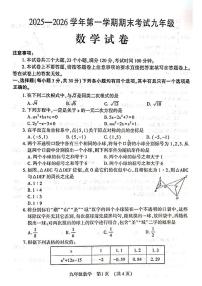 河南洛阳市嵩县2025-2026学年第一学期期末考试九年级数学