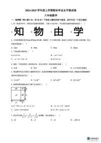 河南商丘市民权县2024-2025学年度上学期期末学业水平测试卷 八年级数学