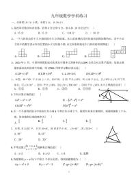 广东清远市松岗中学2025-2026学年下学期九年级数学学科 （开学考）