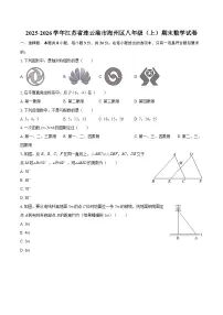 2025-2026学年江苏省连云港市海州区八年级（上）期末数学试卷-自定义类型