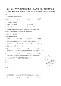 2025-2026学年广东省揭阳市惠来一中八年级（上）期末数学试卷-自定义类型