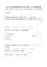2025-2026学年湖北省荆州市沙市区七年级（上）期末数学试卷-自定义类型