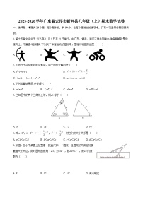 2025-2026学年广东省云浮市新兴县八年级（上）期末数学试卷-自定义类型