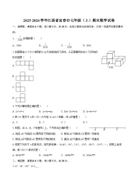 2025-2026学年江西省宜春市七年级（上）期末数学试卷-自定义类型