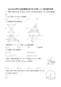 2025-2026学年山西省晋城市高平市九年级（上）期末数学试卷-自定义类型