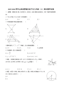 2025-2026学年山西省晋城市高平市九年级（上）期末数学试卷-自定义类型