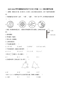 2025-2026学年湖南省长沙市宁乡市八年级（上）期末数学试卷-自定义类型