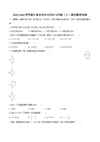2025-2026学年浙江省台州市玉环市七年级（上）期末数学试卷-自定义类型