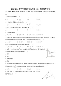 2025-2026学年广西桂林市八年级（上）期末数学试卷-自定义类型