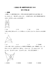 初中数学华东师大版（2024）八年级上册（2024）2. 边角边巩固练习