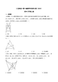 初中数学华东师大版（2024）八年级上册（2024）2. 边角边巩固练习