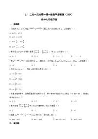 浙教版（2024）七年级下册（2024）二元一次方程精练