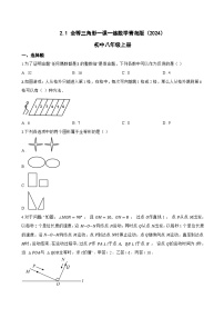 初中数学青岛版（2024）八年级上册（2024）2.1 全等三角形同步达标检测题