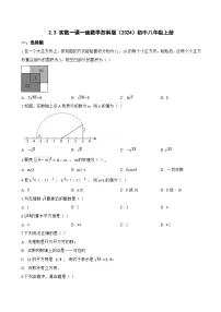 初中数学苏科版（2024）八年级上册（2024）2.3 实数课后复习题