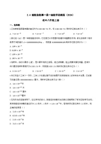 初中数学湘教版（2024）八年级上册（2024）2.4 整数指数幂课时作业