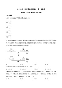 数学七年级下册（2024）三元一次方程组及其解法复习练习题