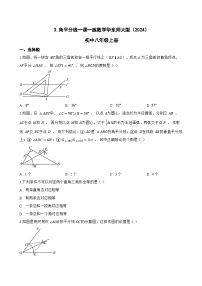 初中华东师大版（2024）3. 角平分线同步练习题