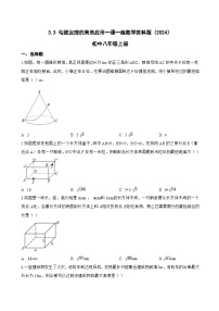 数学八年级上册（2024）3.3 勾股定理的简单应用复习练习题