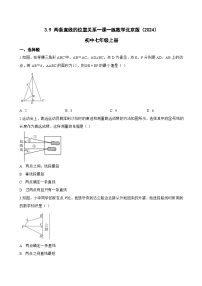 七年级上册（2024）两条直线的位置关系练习
