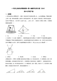 北师大版（2024）利用三角形全等测距离随堂练习题