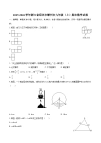 2025-2026学年浙江省绍兴市嵊州市九年级（上）期末数学试卷-自定义类型